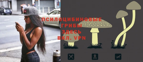 синтетический гашиш Заводоуковск