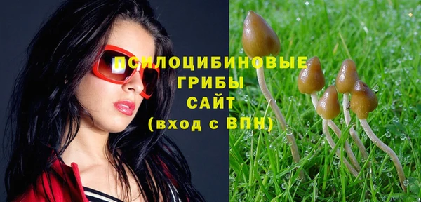синтетический гашиш Заводоуковск