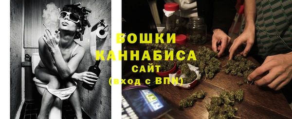 альфа пвп Заволжск
