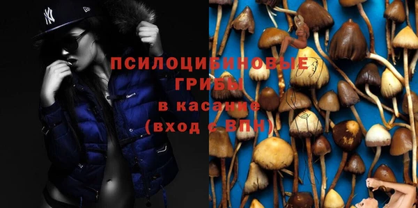 альфа пвп Заволжск